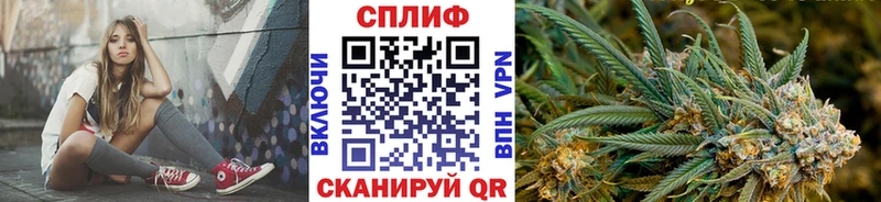 МАРИХУАНА ГИДРОПОН  где купить наркоту  Омутнинск 